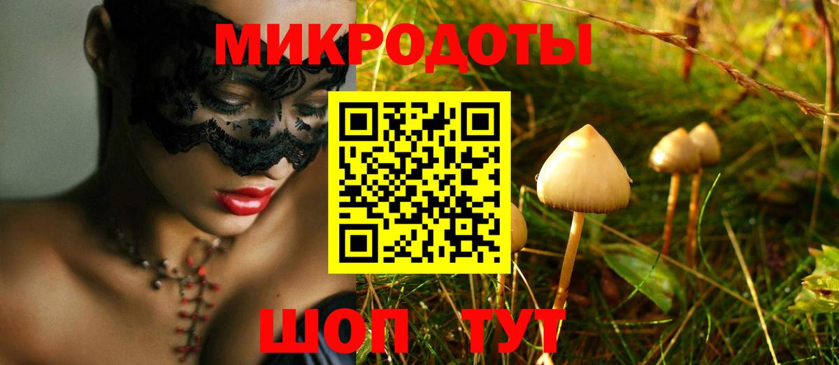 Мыски  Псилоцибиновые грибы прущие грибы  Вход с VPN 